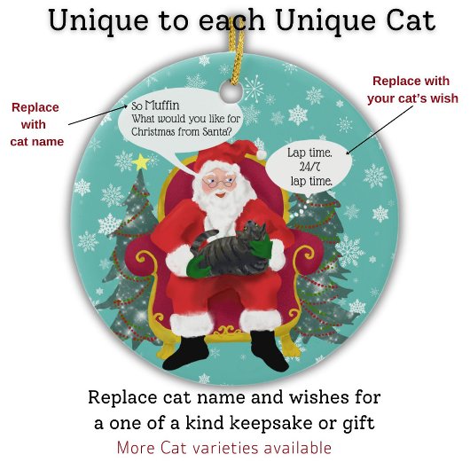 Grappige Tabby Cat bezoekt de Kerstman met hilaris Keramisch Ornament
