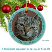 Grappige Tabby Cat bezoekt de Kerstman met hilaris Keramisch Ornament