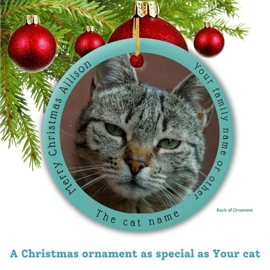 Grappige Tabby Cat bezoekt de Kerstman met hilaris Keramisch Ornament