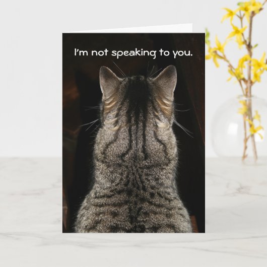 Grappige Tabby Cat Verjaardag Kaart (Gele Bloem)