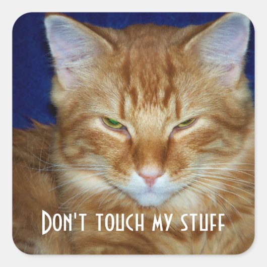Grappige Tabby Kat met een Slecht Humeur Sticker (Voorkant)