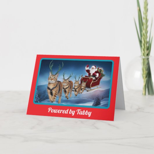Grappige Tabby Rendier Kerstmis Kaart (Voorkant)