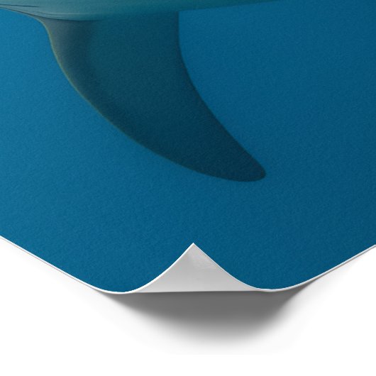 Grappige tandeloze grote witte haai muur kunst poster (Hoek)