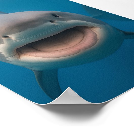 Grappige tandeloze grote witte haai muur kunst poster (Hoek)