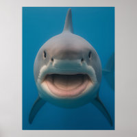 Grappige tandeloze grote witte haai muur kunst
