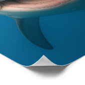 Grappige tandeloze grote witte haai muur kunst poster (Hoek)