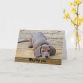 Grappige teckel die je Kaart mist (Gele Bloem)