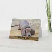 Grappige teckel die je Kaart mist (Voorkant)