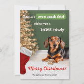 Grappige teckel hond snack dief kerst feestdagenkaart (Voorkant)