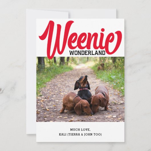 Grappige Teckel Weenie Hond Kerst Custom Foto Feestdagenkaart (Voorkant)