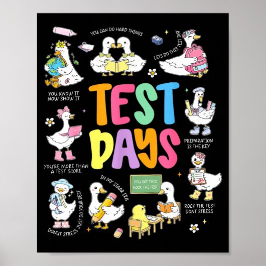 Grappige Testdag Gans Testdag STAAR-dag Leraar Poster (Voorkant)
