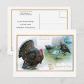 Grappige Thanksgiving Kalkoenen Lezen Proclamatie Briefkaart (Voorkant / Achterkant)