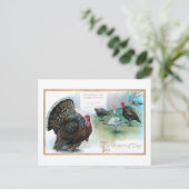 Grappige Thanksgiving Kalkoenen Lezen Proclamatie Briefkaart (Staand voorkant)