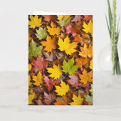 Grappige Thanksgiving Turkije Partij Kaart (Achterkant)