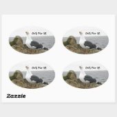 Grappige Tilt Head Seagull Ovale Sticker (Vel)