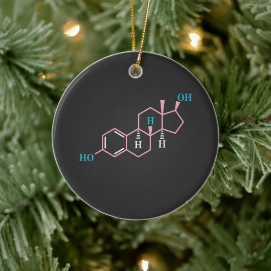 Grappige Transgender Trans LGBT Pride Rechten Oest Keramisch Ornament (Boom)