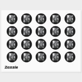 Grappige Trump en Cat Ronde Sticker (Vel)