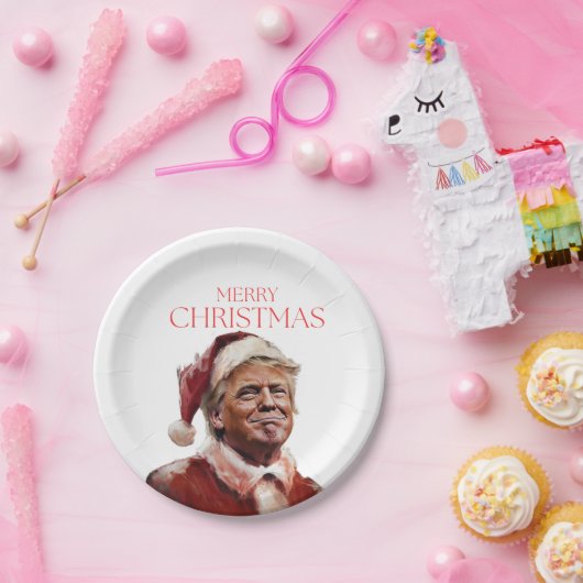 Grappige Trump Kerstman Kaart Papieren Bordje (Feest)