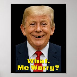 Grappige Trump Politieke Parodie Wat, Maak Ik Me Z Poster