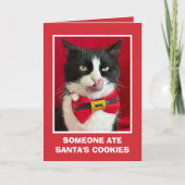 Grappige Tuxedo Cat Christmas Kaart (Voorkant)
