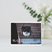 Grappige Tuxedo Cat op het dak Verhuisaankondiging Aankondigingskaart (Staand voorkant)