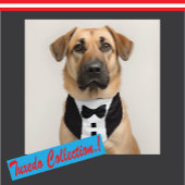 Grappige Tuxedo 🎩 Zwart Stropdas Formal Bagagelabel