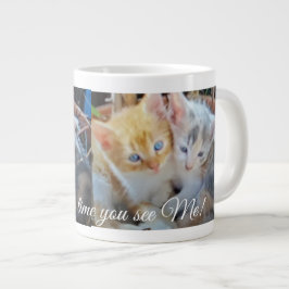 Grappige Twee Schattige Kittens Foto Voor, Achter  Grote Koffiekop