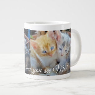 Grappige Twee Schattige Kittens Foto Voor, Achter  Grote Koffiekop