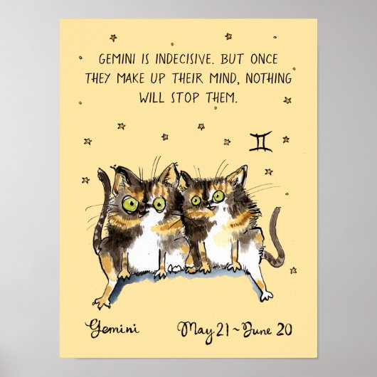 Grappige Tweelingen poster Zodiac Kat Sterren teke (Voorkant)