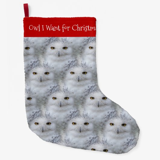 Grappige Uil Ik Wil Voor Kerstmis Sneeuwuilen Grote Kerstsok (Voorkant)