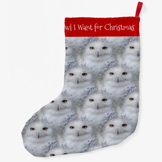 Grappige Uil Ik Wil Voor Kerstmis Sneeuwuilen Grote Kerstsok (Achterkant)