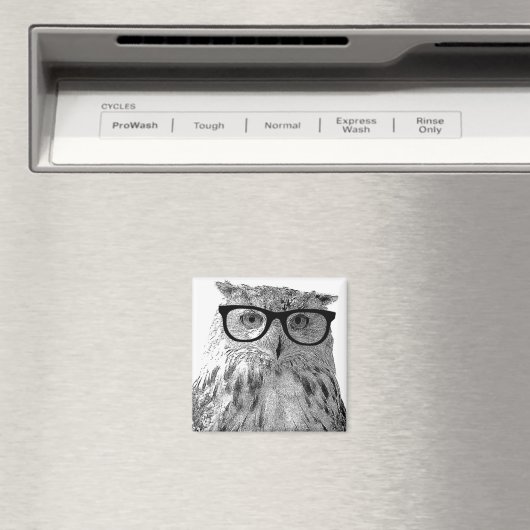 Grappige uil magneet | Vogel met bril (Insitu (Vaatwasser))