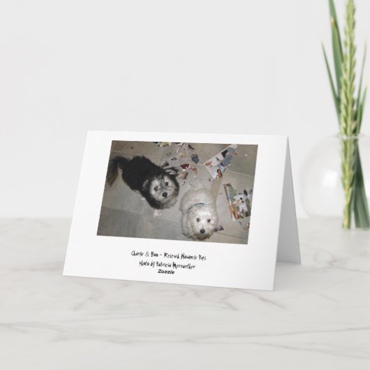 Grappige Vaderdag Havanese Puppies Kaart (Achterkant)