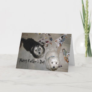 Grappige Vaderdag Havanese Puppies Kaart