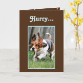 Grappige "Vaderdag" Kaart met Schattigee Basset Ho (Gele Bloem)