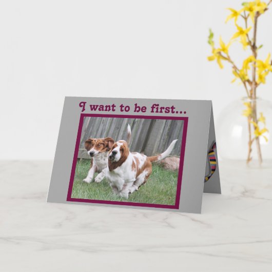 Grappige "Vaderdag" Kaart w / Schattigee Running B (Gele Bloem)