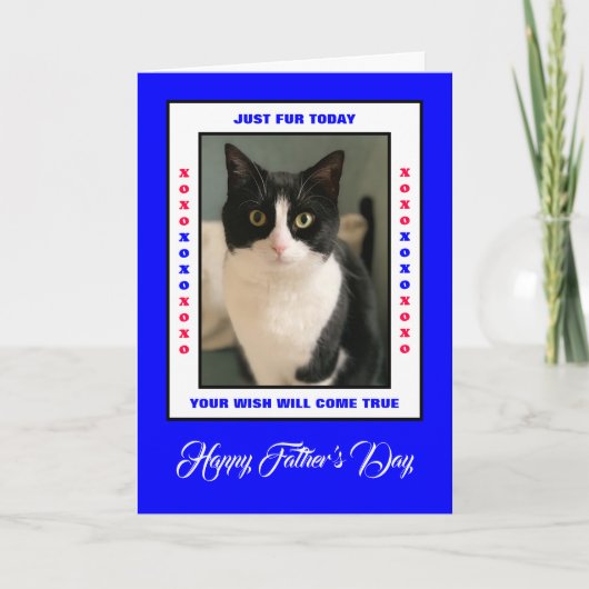 Grappige Vaderdag van de Cat(s) Foto Kaart (Voorkant)