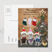 Grappige vakantie katten in lelijke truien uitnodiging briefkaart (Voorkant / Achterkant)