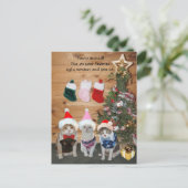 Grappige vakantie katten in lelijke truien uitnodiging briefkaart (Staand voorkant)