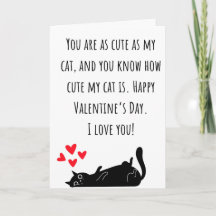 Grappige Valentijn Zo Schattig Als Mijn Kat Gevouw