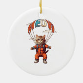 Grappige valkat uit vliegtuig keramisch ornament (Achterkant)