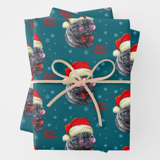 Grappige verfijnde kerstman hoed kat inpakpapier vel (In situ)