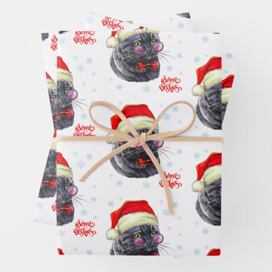 Grappige verfijnde kerstman hoed kat inpakpapier vel (In situ)