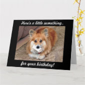 Grappige Verjaardag Corgi met Bone Kaart (Gele Bloem)