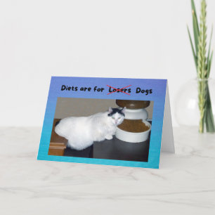 Grappige verjaardag dikke kat zegt dat diëten zijn kaart