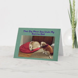 Grappige Verjaardag Kaart Big Dog in Little Dog Be