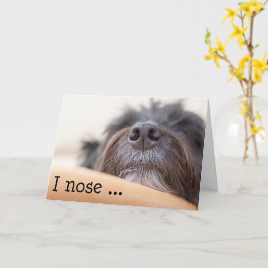 Grappige Verjaardag Kaart - De hondenneus (Gele Bloem)