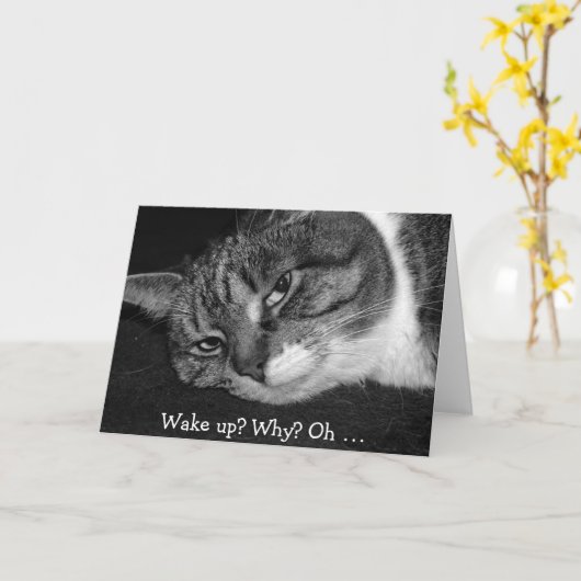 Grappige Verjaardag Kaart met Kat: Wakker worden?  (Gele Bloem)