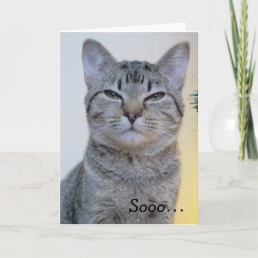 Grappige Verjaardag Kaart met verdachte Kat (Voorkant)