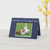 Grappige Verjaardag Kaart w / Basset & Tropische A (Gele Bloem)